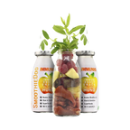 Bocal de fruits et viande entre deux bouteilles Immunboost