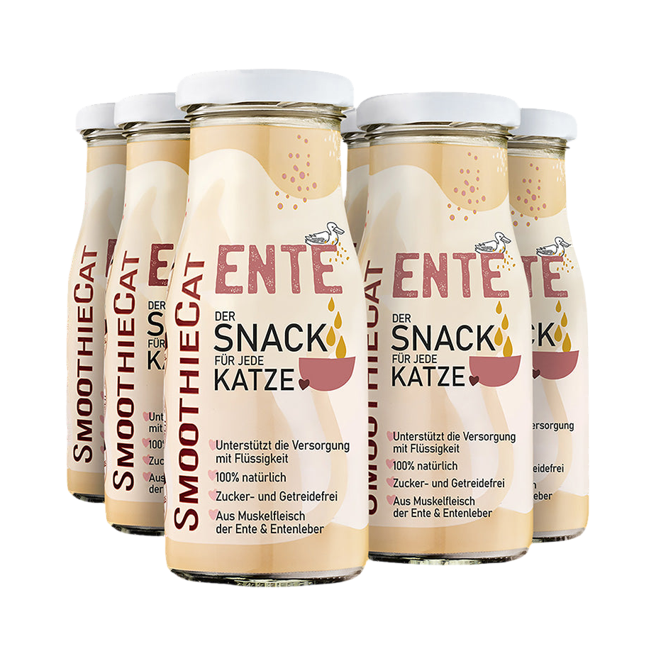 Lot de bouteilles SmoothieCat Ente alignées