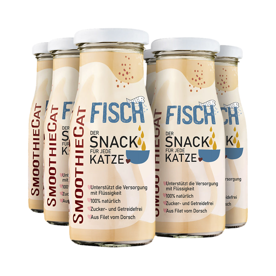 Lot de bouteilles SmoothieCat Fisch alignées