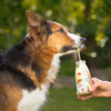 Smoothie pour chien Piña Paw-lada lapin & noix de coco – Smoothie Dog – 250 ml – photo 5