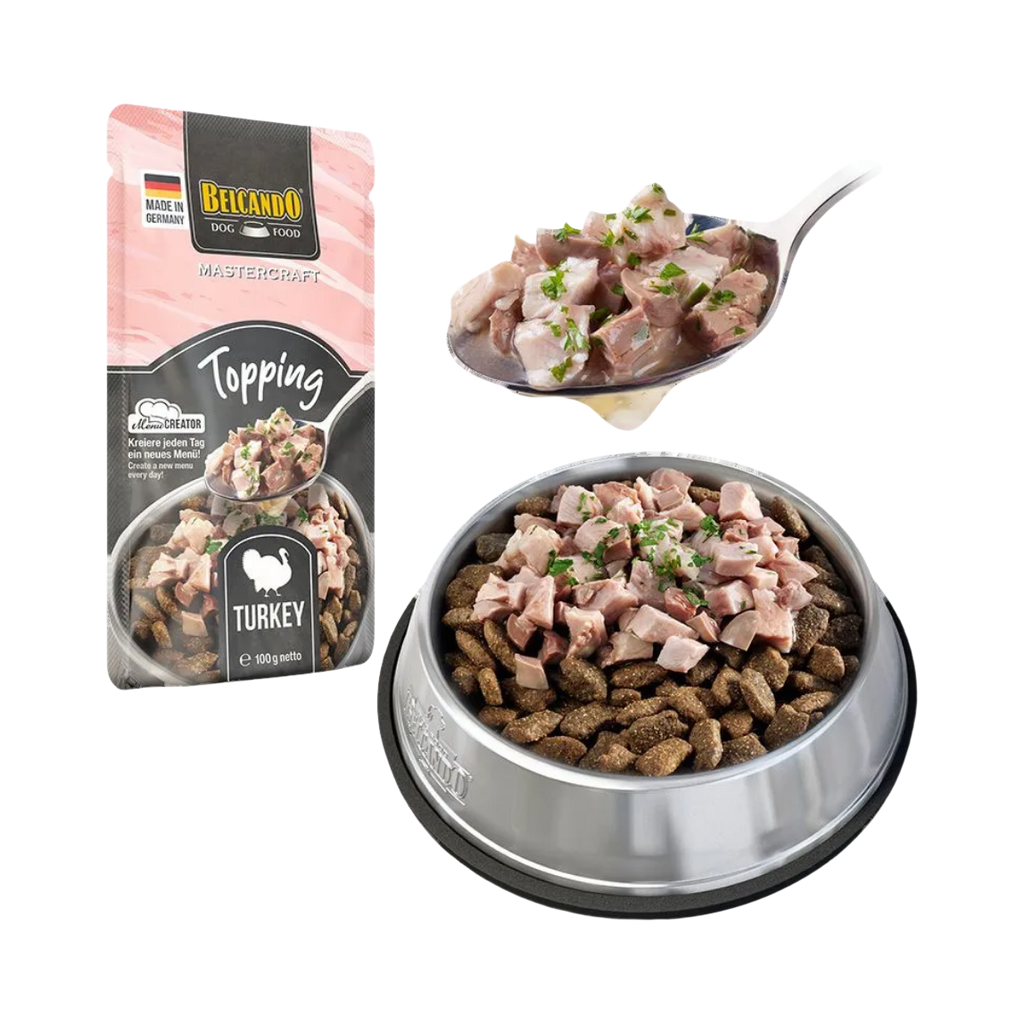 Morceaux de viande sur croquettes dans une gamelle inox