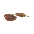 Deux morceaux de vessie de bœuf séchée