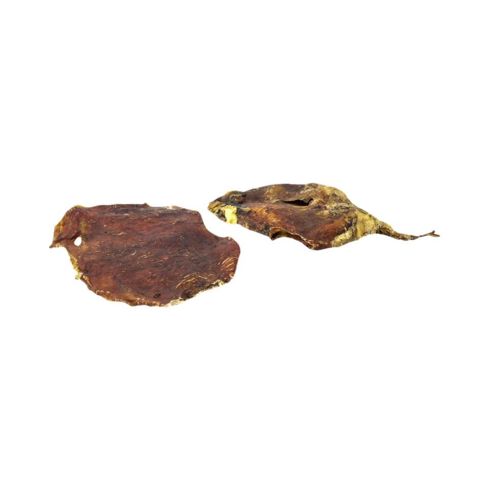 Deux morceaux de vessie de bœuf séchée