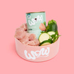 Pâtée WOW dinde, courgettes & pissenlits servie dans une gamelle avec ses ingrédients crus