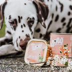 Dalmatien avec la barquette de pâtée WOW au saumon