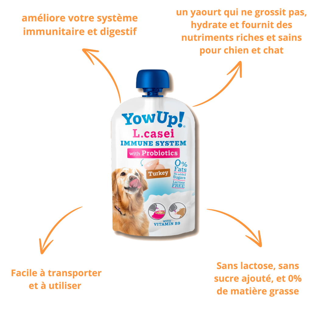 Bienfaits du yaourt L.casei : immunité, digestion, sans lactose ni sucre