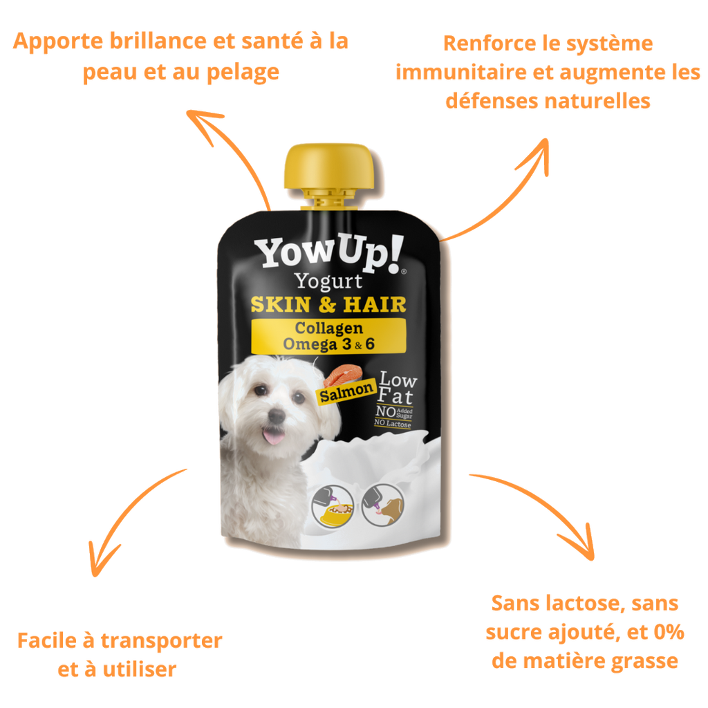 Bienfaits YowUp Skin & Hair : brillance du pelage, défenses naturelles