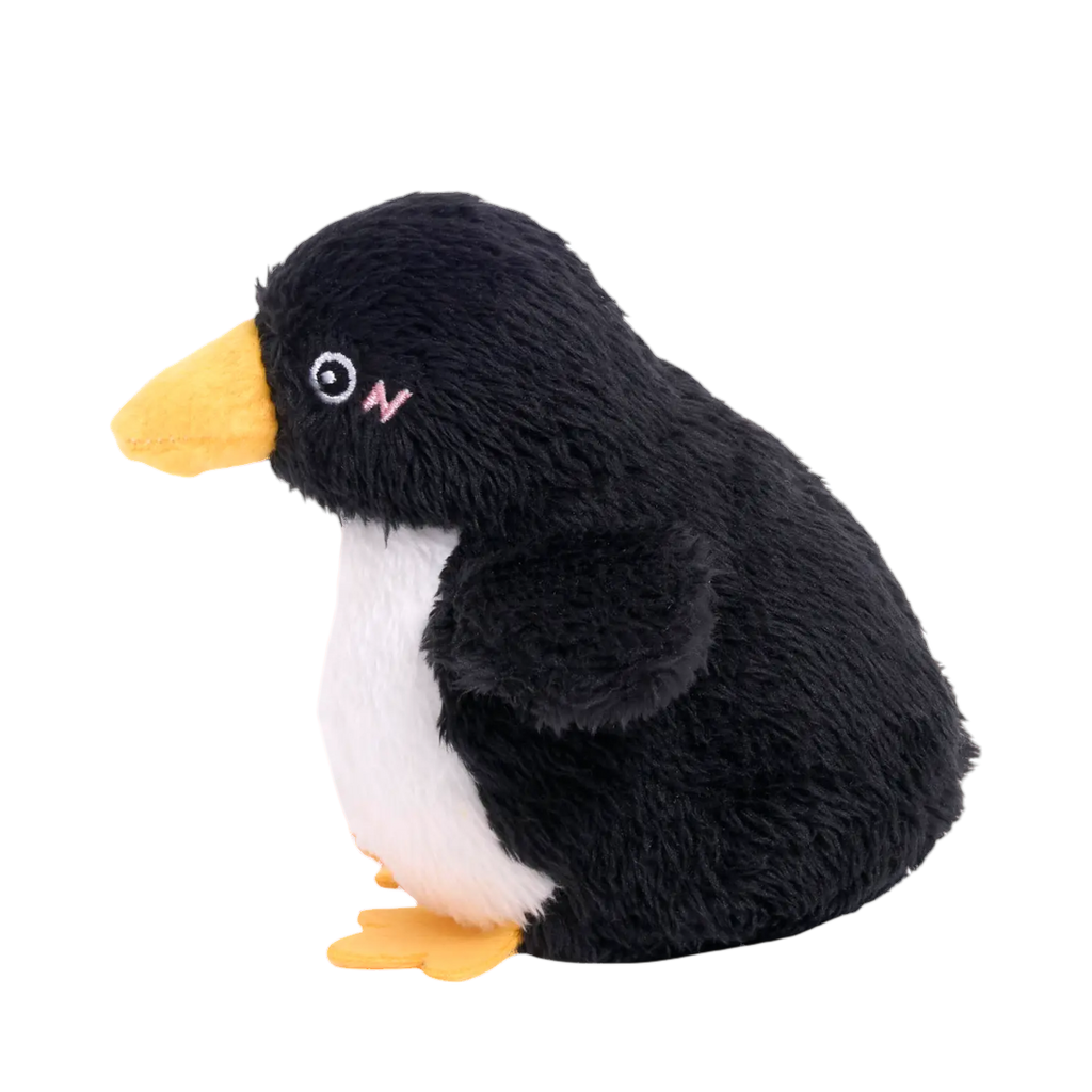 Manchot noir de profil, bec orange tendu