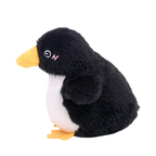 Manchot noir de profil, bec orange tendu