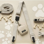 Sangle beige et biscuits en os disposés à plat