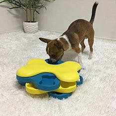 Petit chien cherchant des friandises sur un tapis blanc