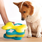 Corgi découvrant le puzzle tournant posé au sol