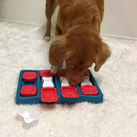 Chien roux soulevant un clapet rouge avec sa truffe