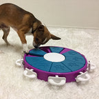 Petit chien truffe sur le plateau violet posé sur un tapis