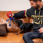 Homme sur un canapé qui joue avec son chien et Spider-Man