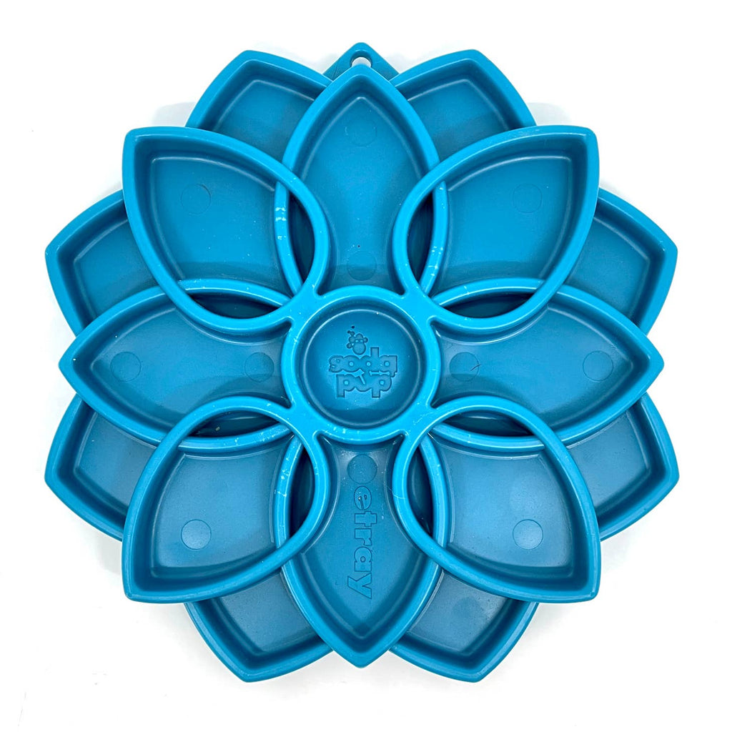 Version bleue du plateau floral vue de dessus
