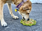 Chien beige mangeant dans la fleur verte garnie