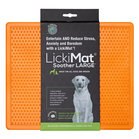 Coloris orange avec carton illustré d'un labrador
