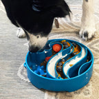 Chien léchant le bol bleu posé sur un tapis
