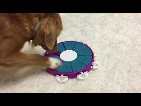 Jeu d'intelligence pour chien Twister – Nina Ottosson – niveau 3